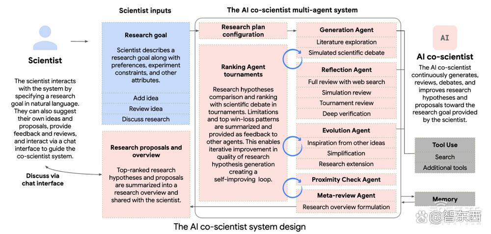 10年科学谜团，被谷歌“AI科学家”2天解决了