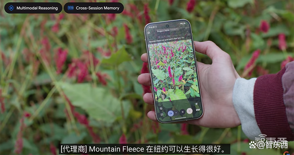 谷歌最强大模型登场！掀Agent风暴，放AI芯片大招，深夜突袭OpenAI
