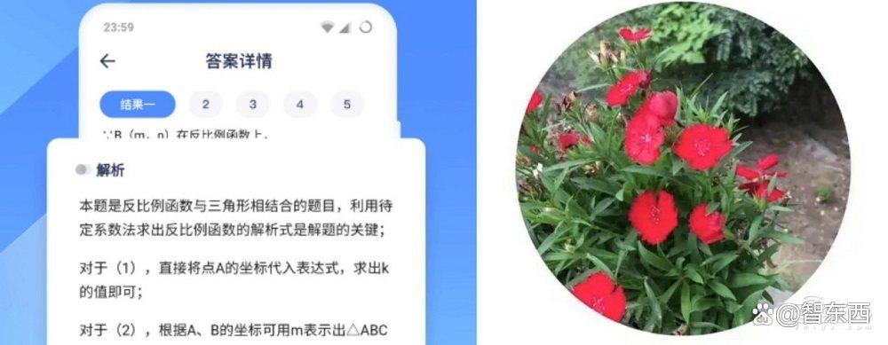支付宝长眼睛了！打造新一代视觉搜索，AI帮你探索万物