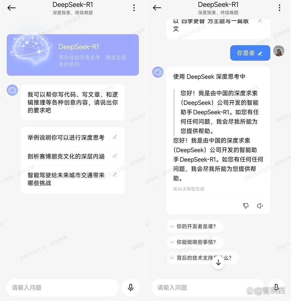 DeepSeek爆火28天，国内大模型同行都在干什么？